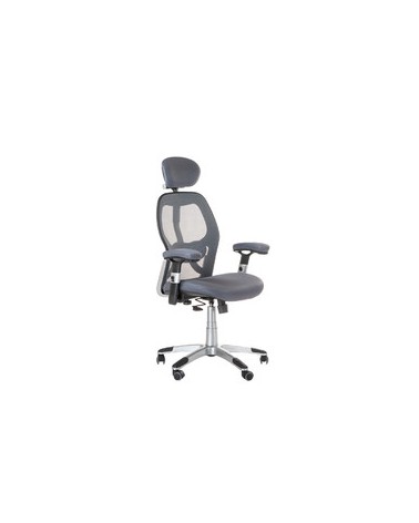 Fotel ergonomiczny CorpoComfort BX-4144 Szary