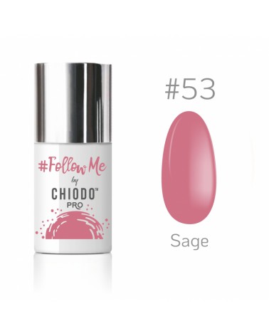 Follow Me by ChiodoPRO nr 53 - Sage 6 ml